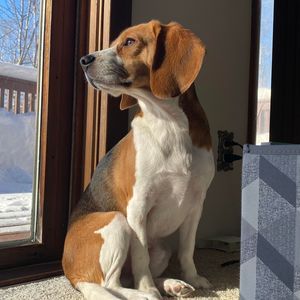 Meet your Posher, Ry